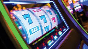 bet55 bet55